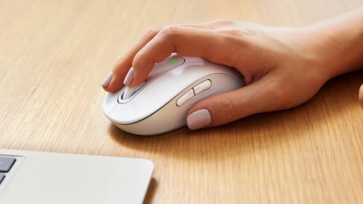 Quelle est la souris la plus adaptée pour vous ?